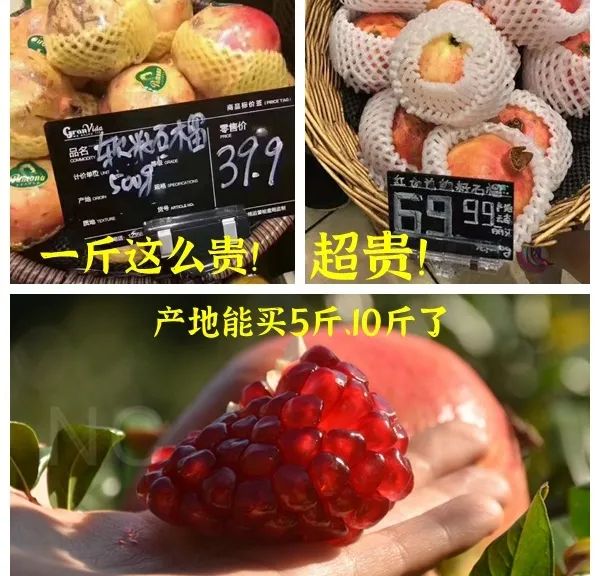 吃石榴不吐皮,吃石榴不吐籽的石榴