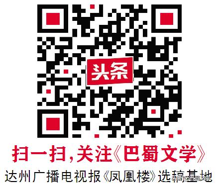 「散文」柳荫浓夏
