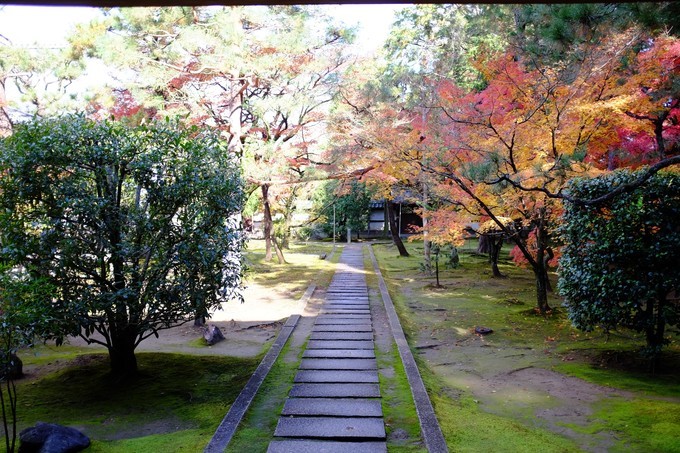 京都赏枫2022,京都赏枫必去景点有哪些好玩的