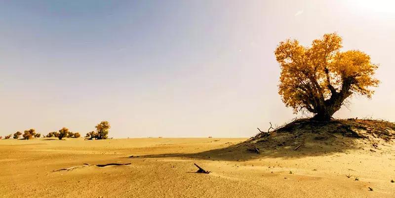 南疆印象地图,南疆印象之喀什