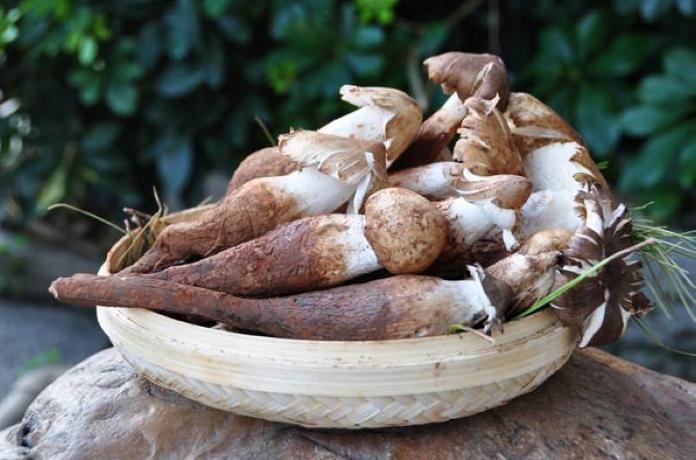 农村里的7种“野味”，现在很少能买到了，全吃过的人估计不多