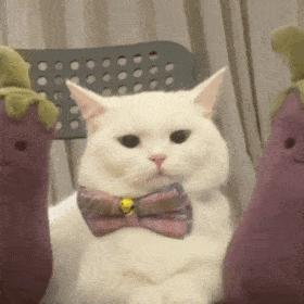 坚持做这些事让你有巨大变化,坚持做这几件事拉开同龄人差距