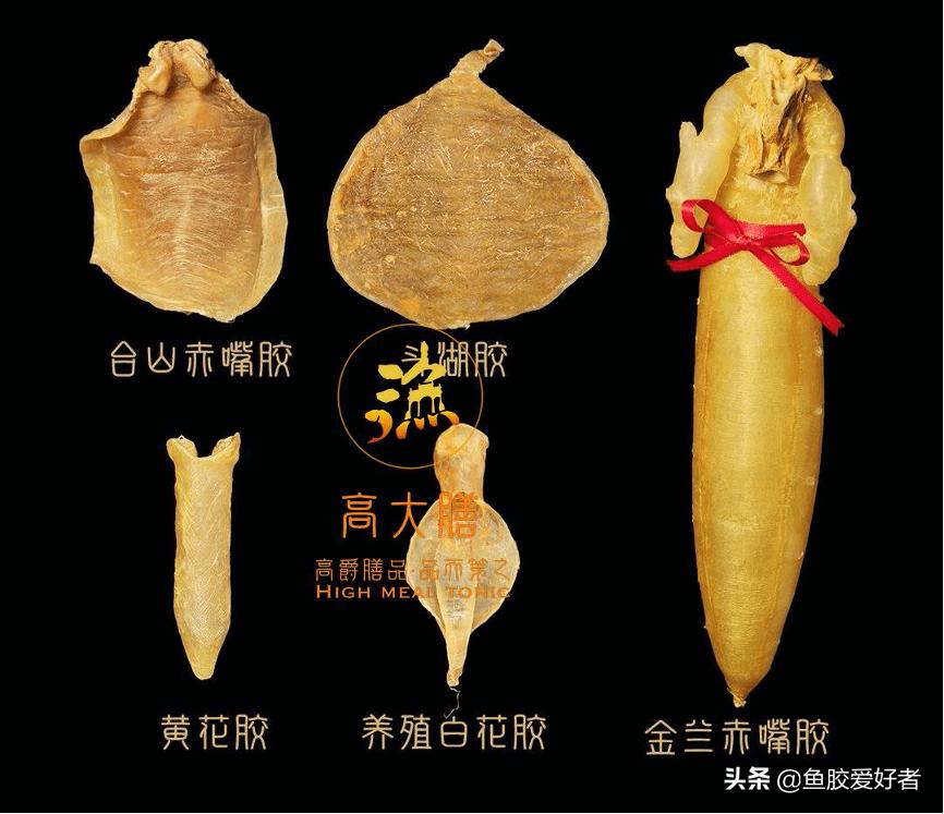 鱼胶选买什么样的好,如何挑选鱼胶让人觉得你是内行