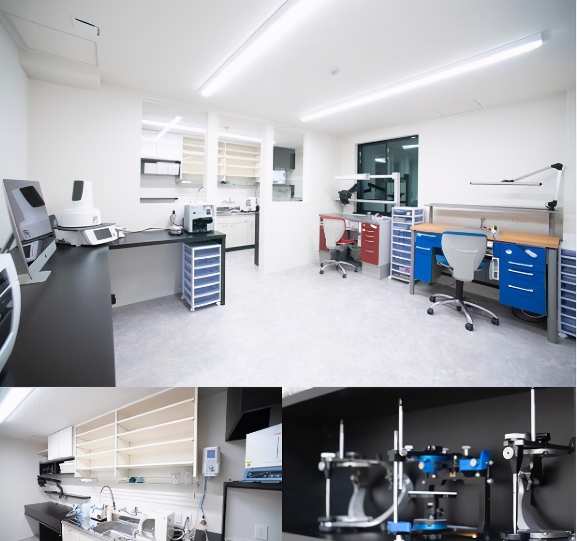 日本东北大学sgu口腔健康科学IOHS硕博课程你了解吗