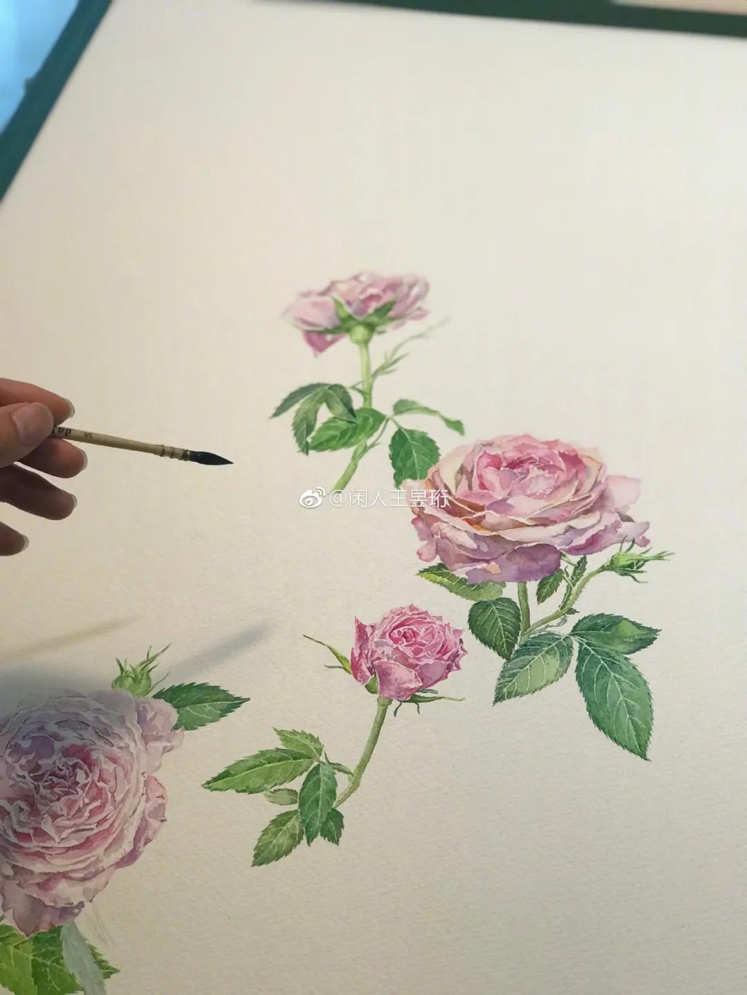 最强大脑王昱珩清华毕业后不上班,王昱珩上学经历