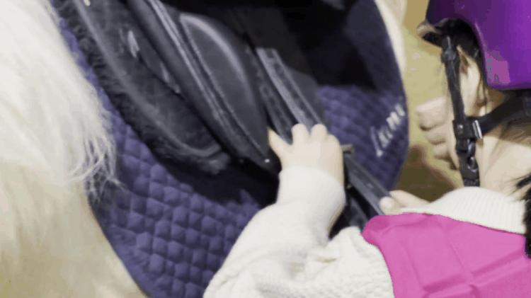 徐州首家TOP级马术俱乐部｜英骐国际马术俱乐部，2000㎡超大场地