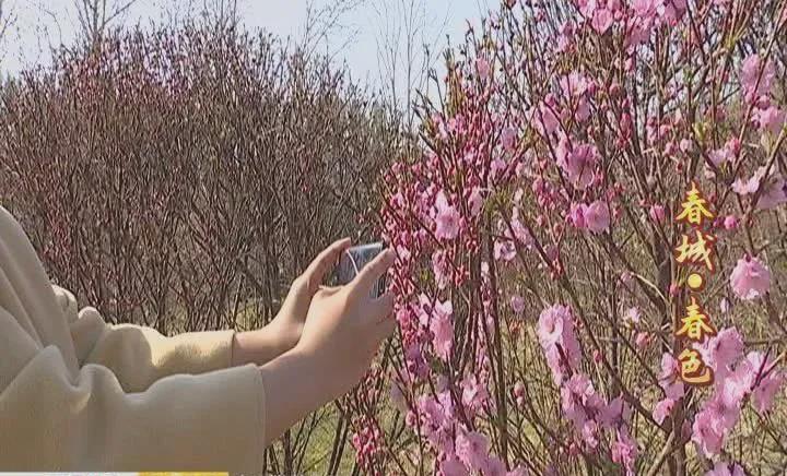 长春百花园游玩攻略,长春的百花园冬天的景色