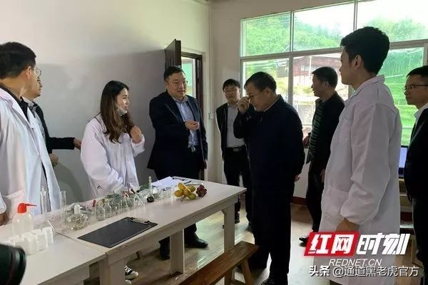 被省委书记惦记的通道小伙，正带村民种山果致富（转载）