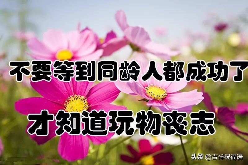 几句话送给未来的自己,几句话送给年轻的你们