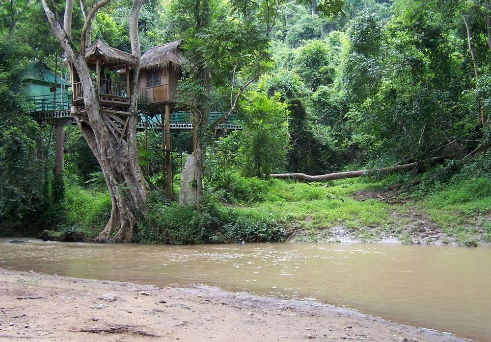 西双版纳风景之旅自由行旅游攻略,邂逅雨林西双版纳秘境之旅