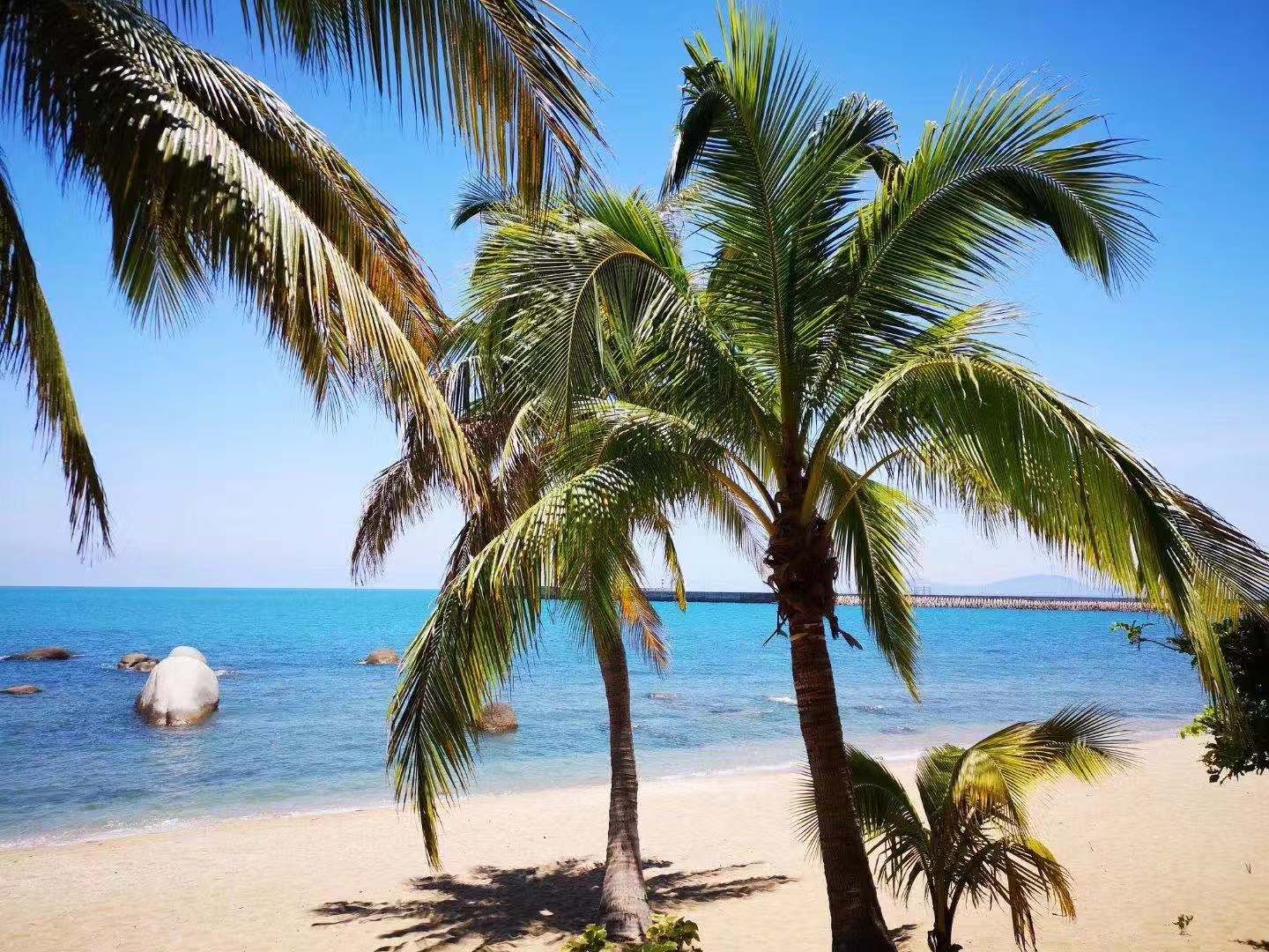 三亚旅游要避开哪些坑,惠旅游是真的假的