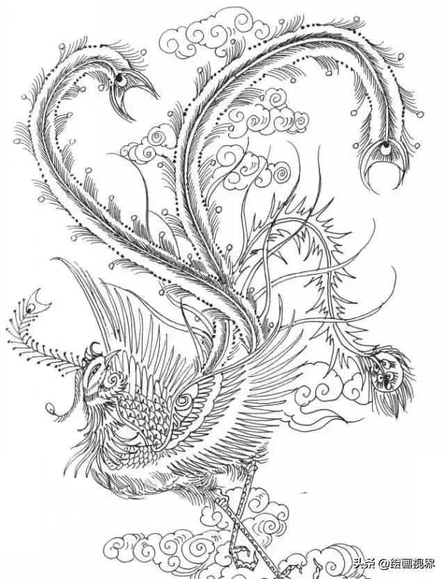 凤凰绘画中国风线稿,凤凰白描线稿特点