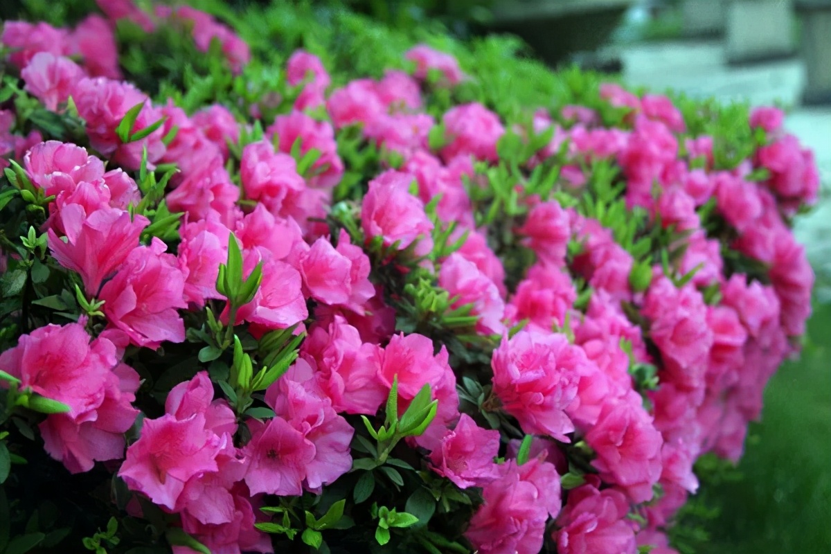 抢抢抢！五一狂欢就来墨子古街，4重福利等你来！