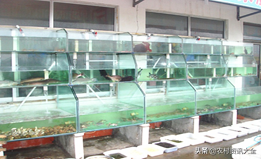 2020在农村做什么小生意赚钱,2022年农村做什么小本生意赚钱