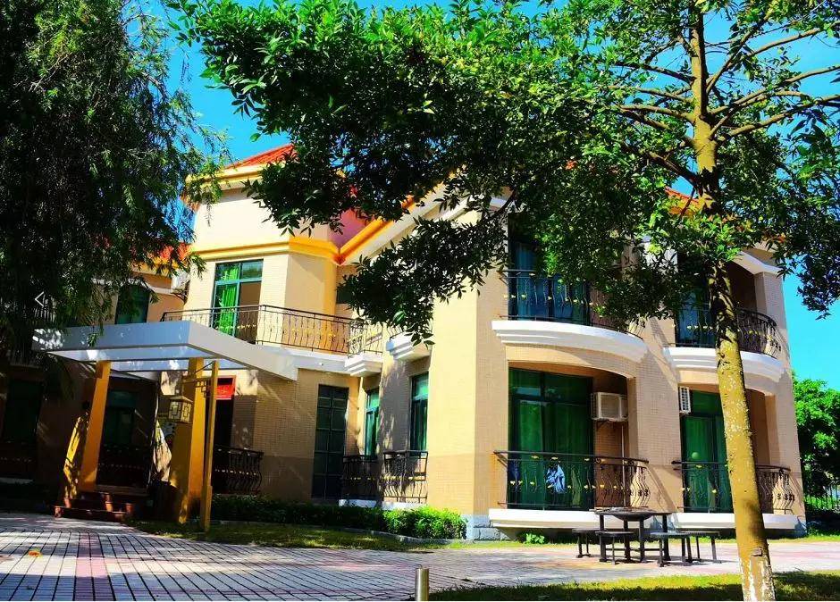 广东小帕劳,下川岛小帕劳