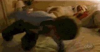 家里的狗为什么要嚎叫,为什么狗总想上床睡觉