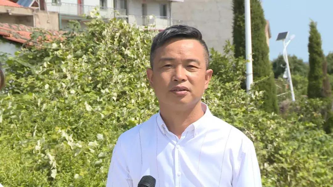 花桥镇种养合作社,花桥镇农业种植