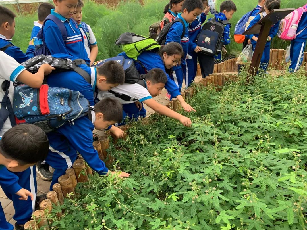 洋沙湖研学基地在哪里,洋沙湖岳阳研学