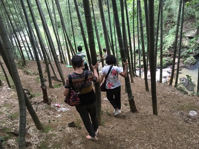 广州从化溪头村一日游出游攻略,从化溪头村自驾游攻略视频