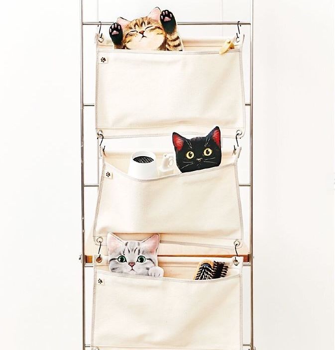 360度“云吸猫”?日本这家猫咪商店简直爱了