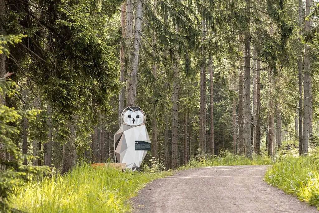 萌宠上阵，整个空间都奇趣了！