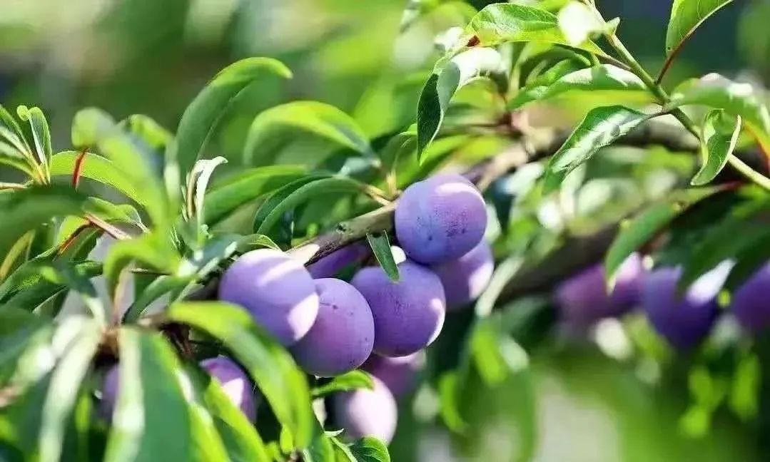 达州一座有温度的城市,达州一个有温度的城市