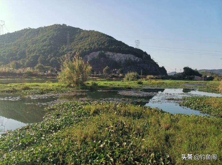 冬季钓鱼夜钓什么时间最好,初春夜钓钓鱼的最佳时间表