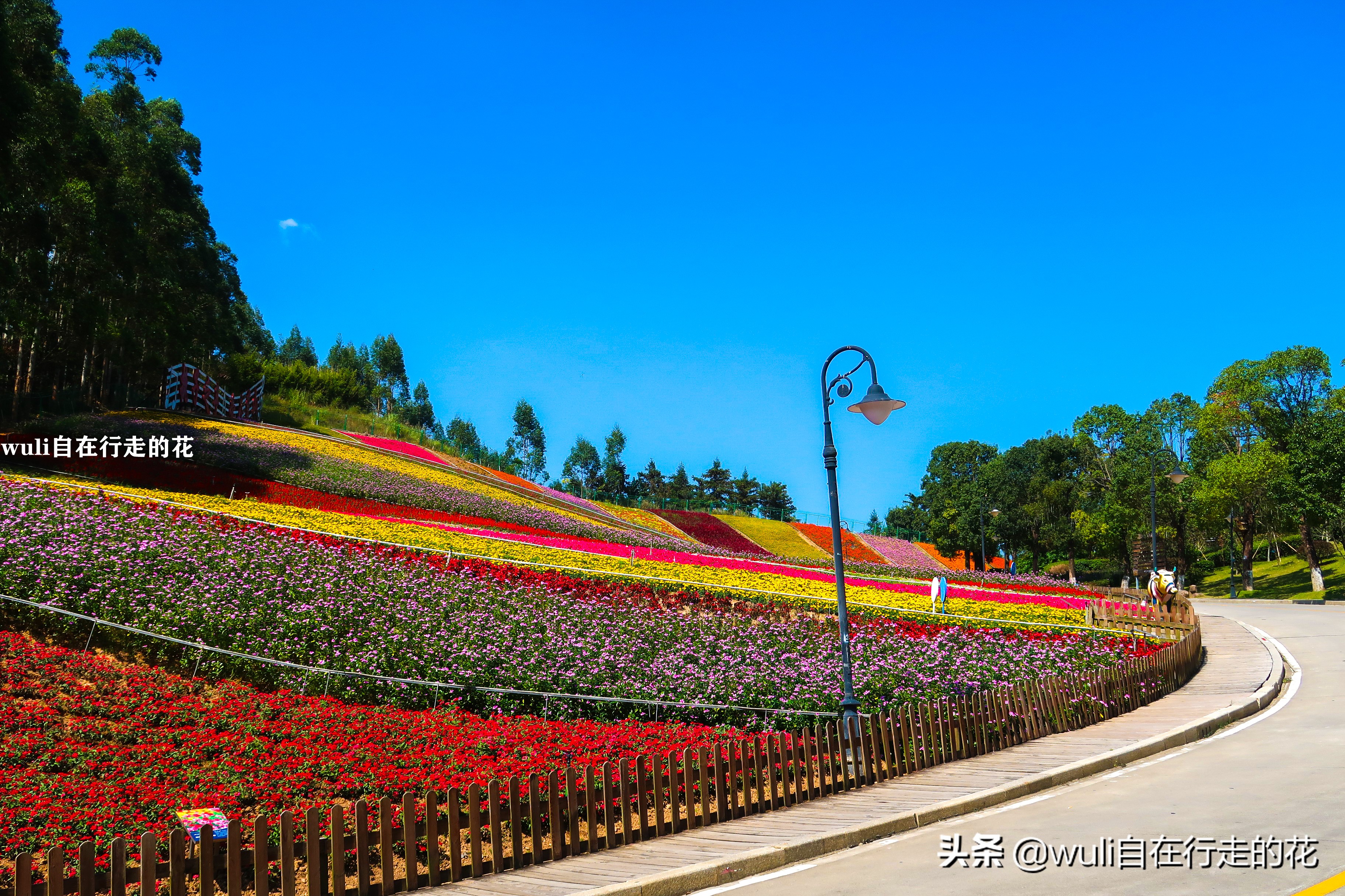 长泰县十里蓝山,漳州长泰十里蓝山攻略