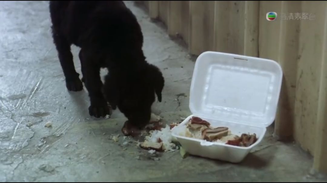 喜剧之王上映时间,喜剧之王2024开播时间