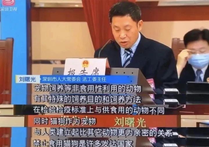 四十年后天堂向右深圳向左,天堂往左深圳往右简介