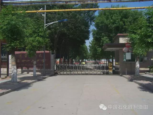 胜利油田学校有几个,胜利油田有多少学校并分布在哪里