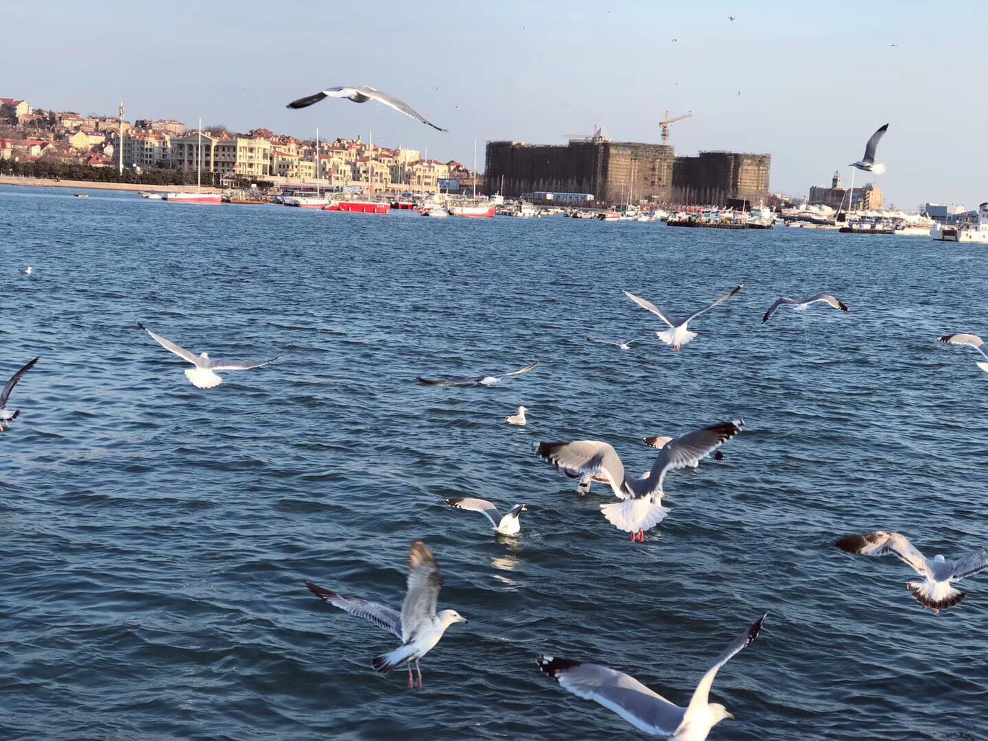 小额*款贷**是什么？小额*款贷**是福音还是陷阱？