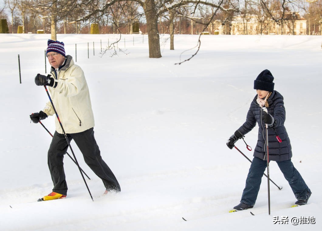 埃斯特尔是什么样的人,埃斯特尔伊蕾娜