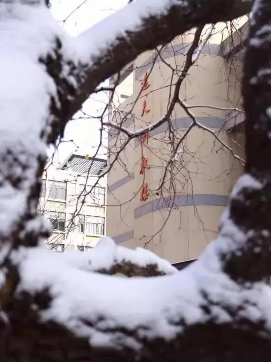 天津市高级中等学校,天津市锐华高级中学