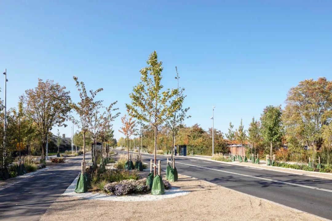 道路设计效果图,个性路面设计