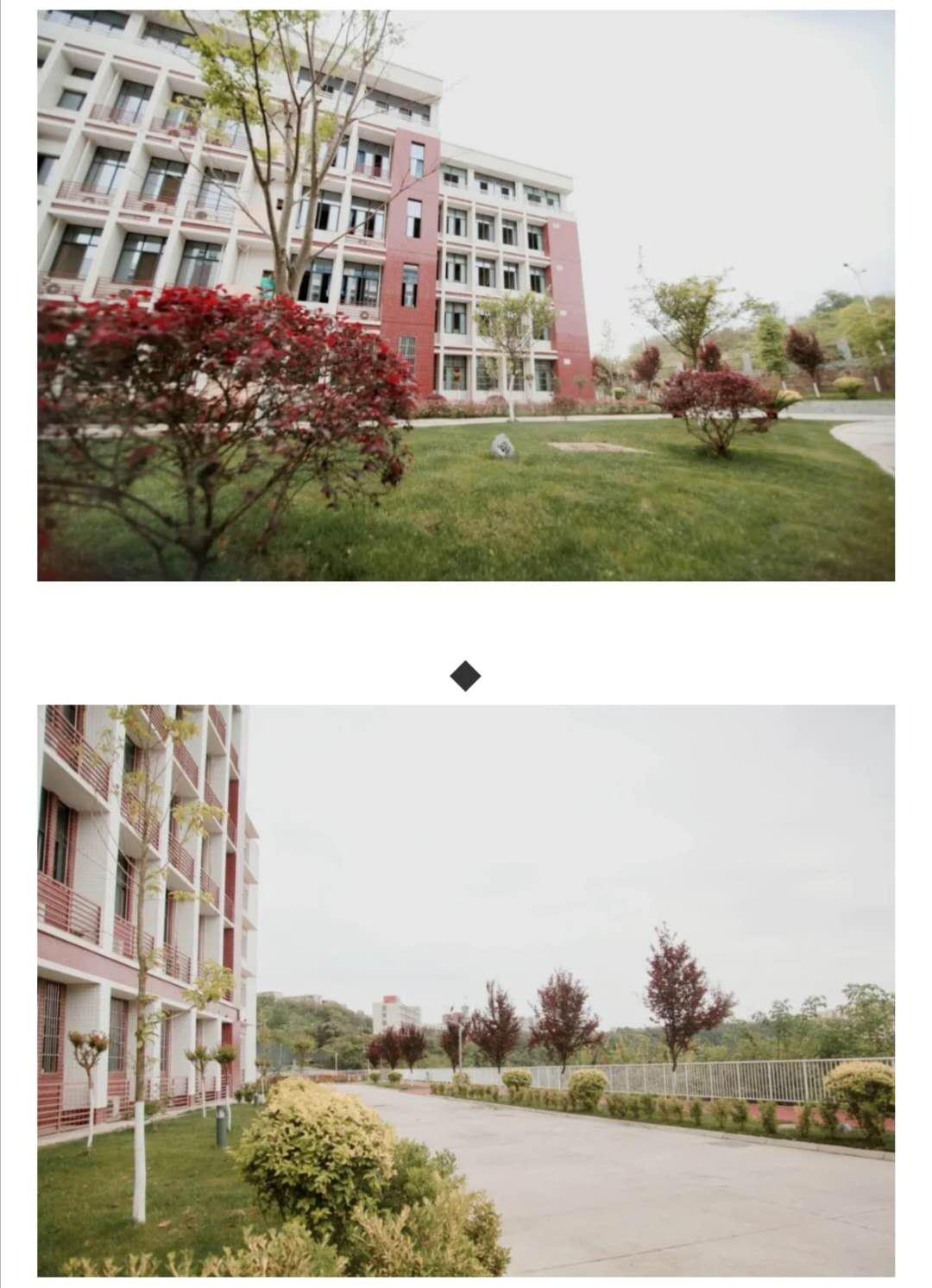 从a到z选择一个字母你会选择哪个,从a到z的成长