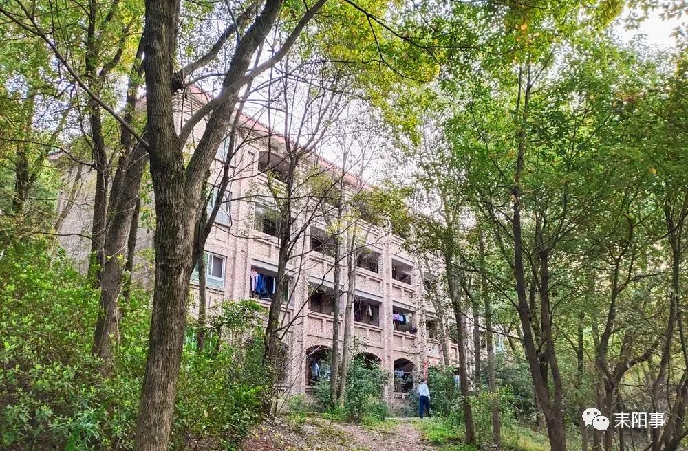 迎接校园里的百花齐放,教室窗外百花齐放