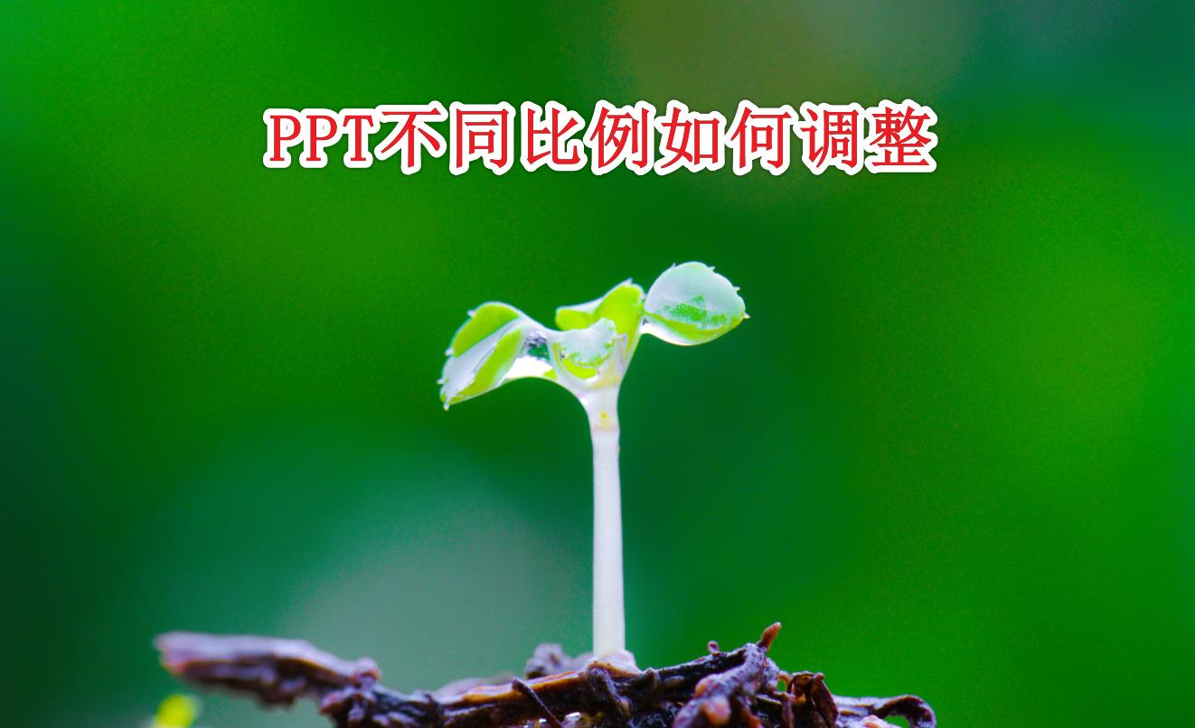 宽屏ppt怎么铺满大屏,ppt设置了16:9显示还是不完全