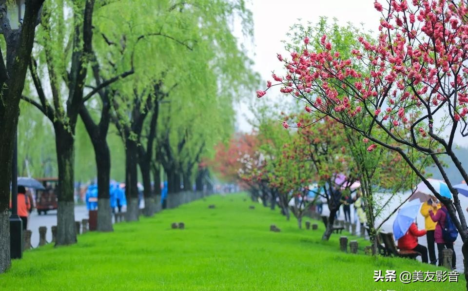 成语的误用类型有哪些,人民日报整理易错的四字成语