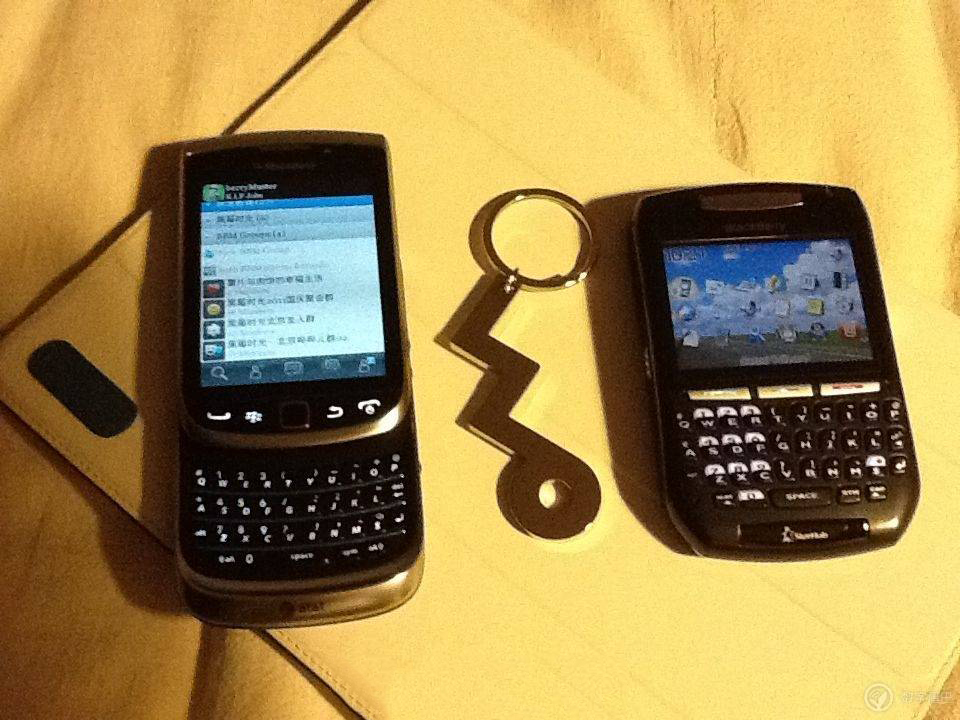 黑莓的一生,黑莓的一生简介