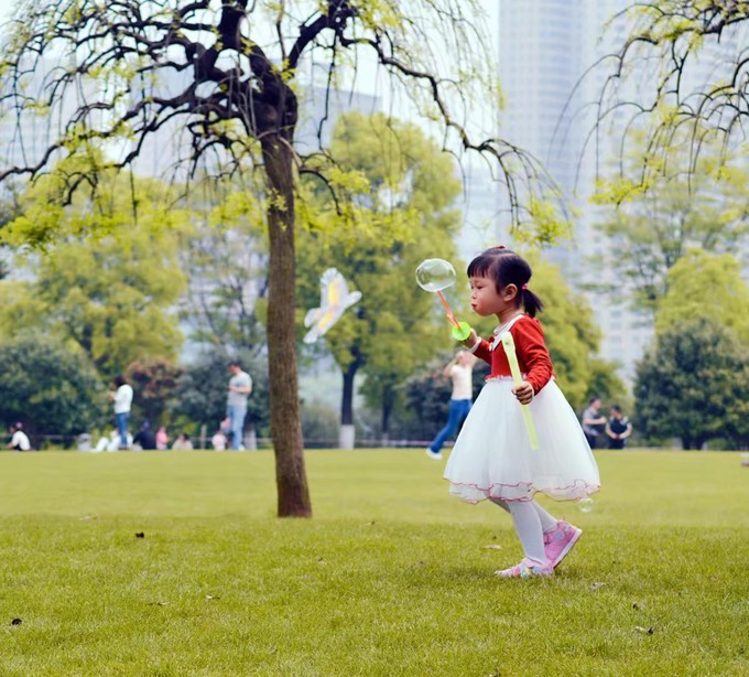 长沙去张家界三日游报价,长沙到乌镇三日自由行攻略