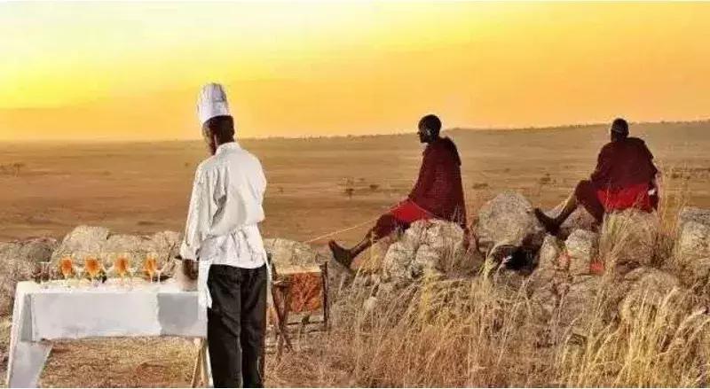 海哥带你游世界｜这周我们去非洲大草原看大西几！