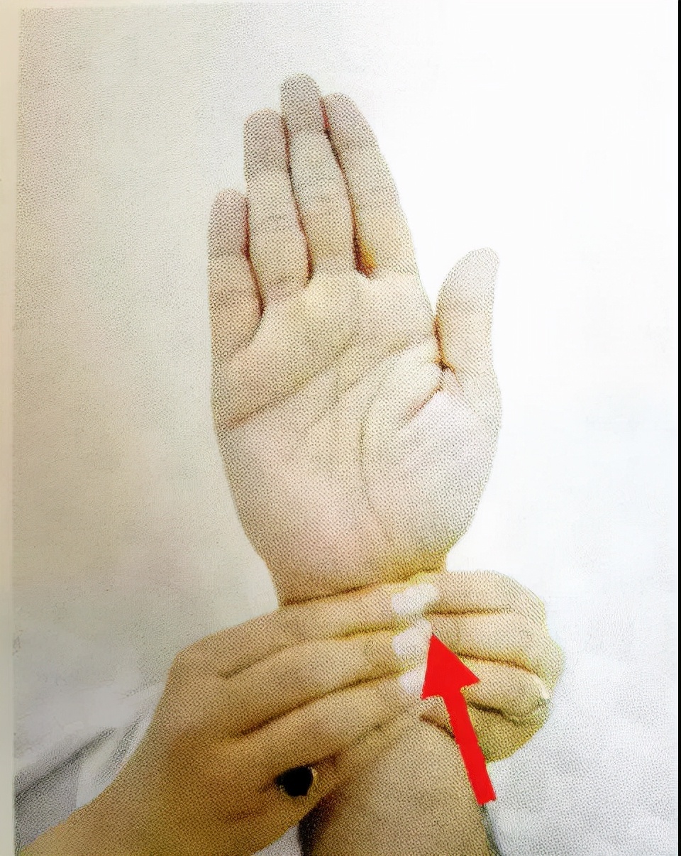 生命汇医疗国际中心,生命汇医疗服务