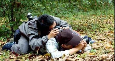 怎样学习摄影拍照技术,学习拍照技术技巧