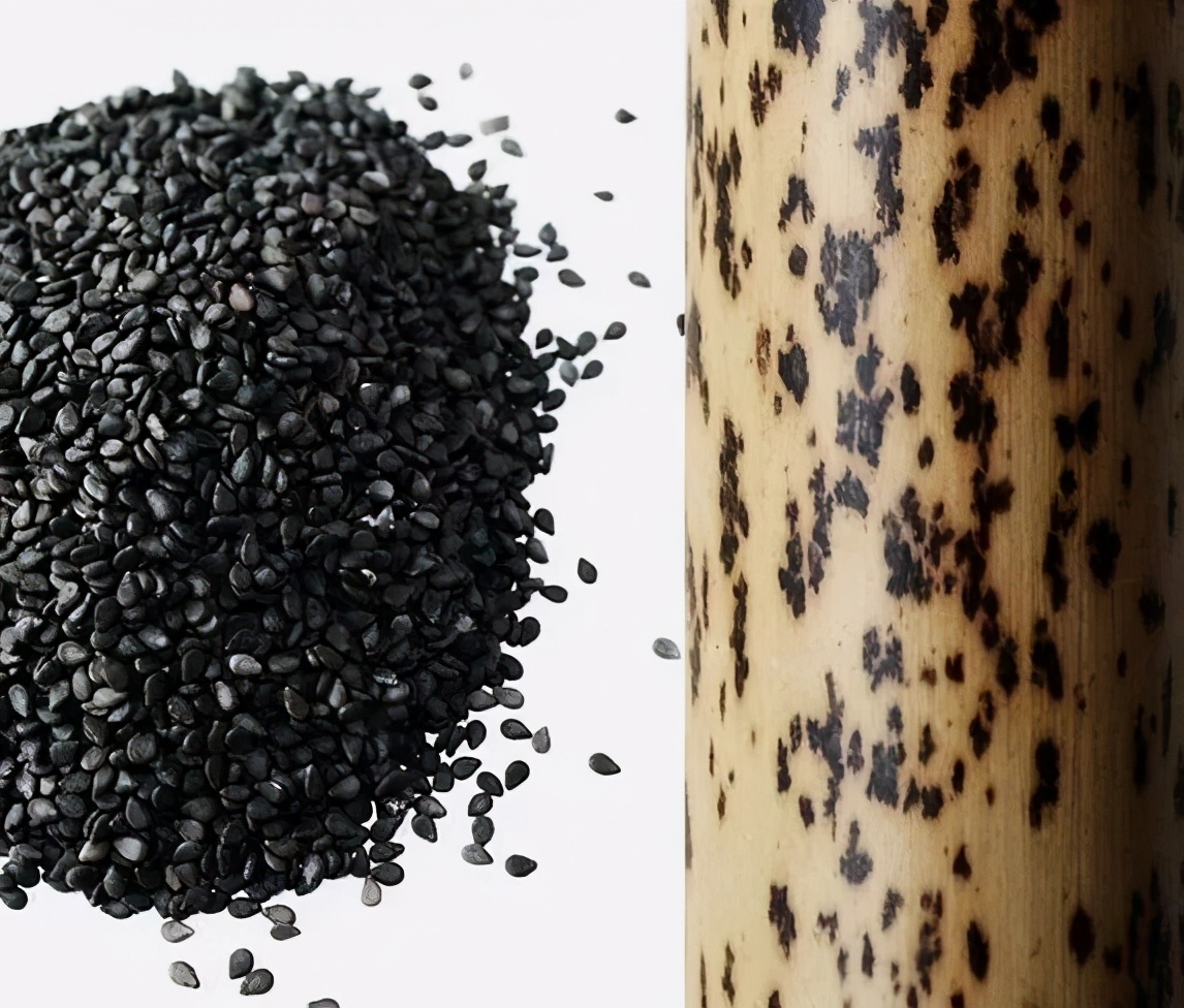 湘妃竹为什么贵,湘妃竹由来