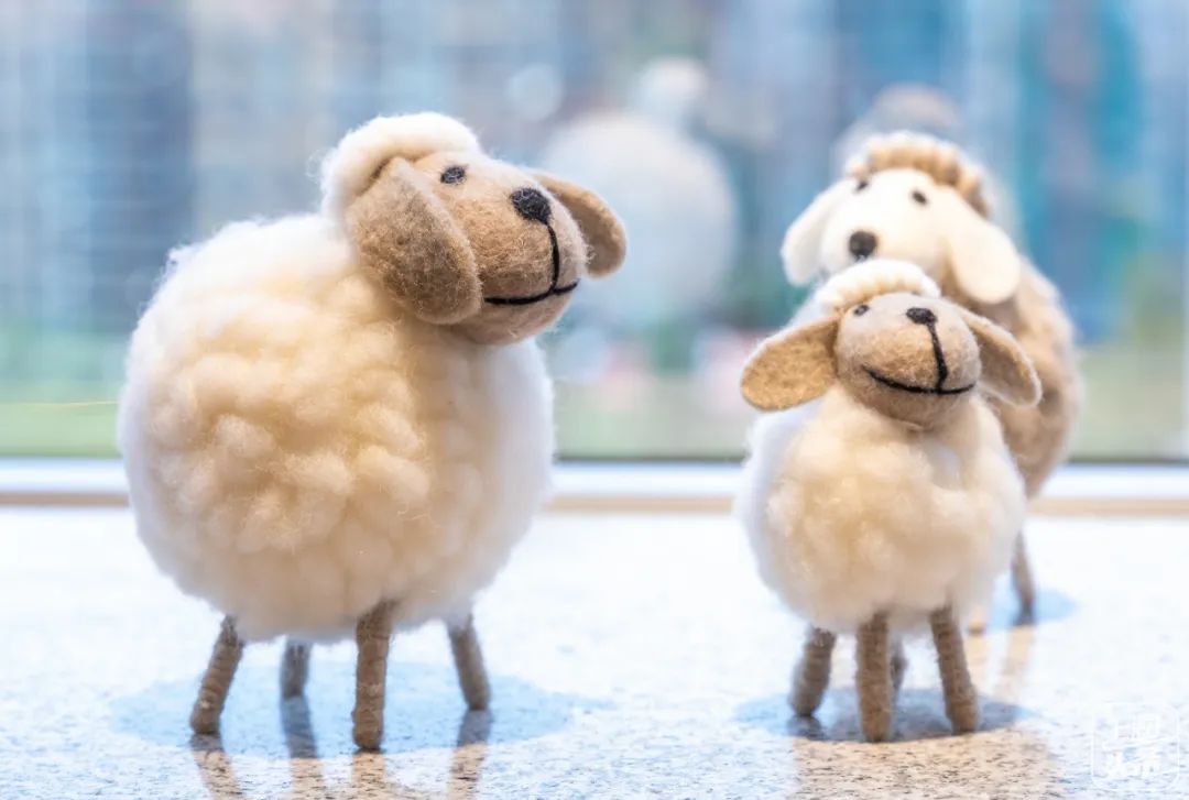 近视眼镜团购上海,近视眼镜团购附近100元两副眼镜