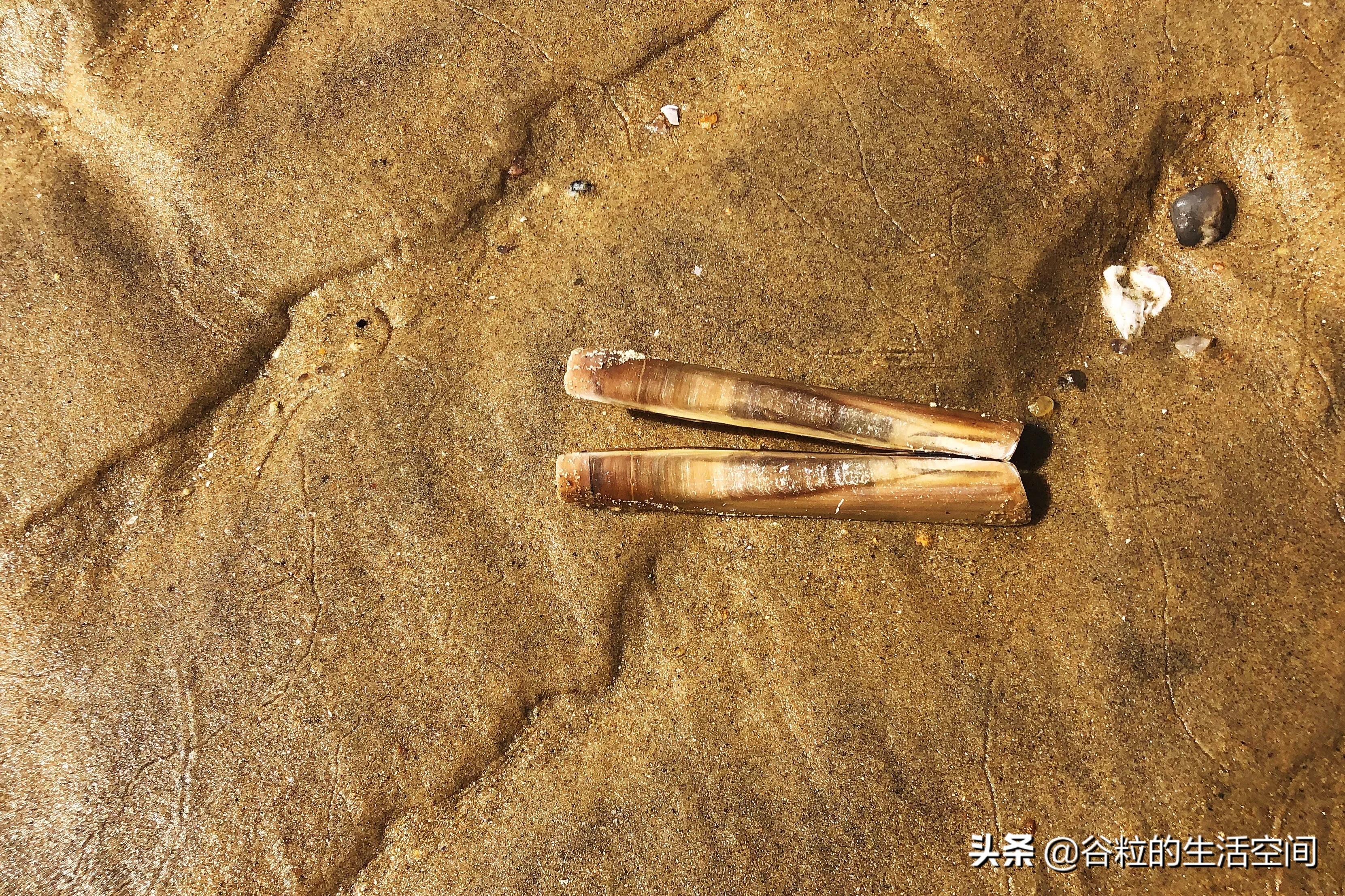 偷偷告诉你一个约会的好地方,告诉你一个亲子游的好地方