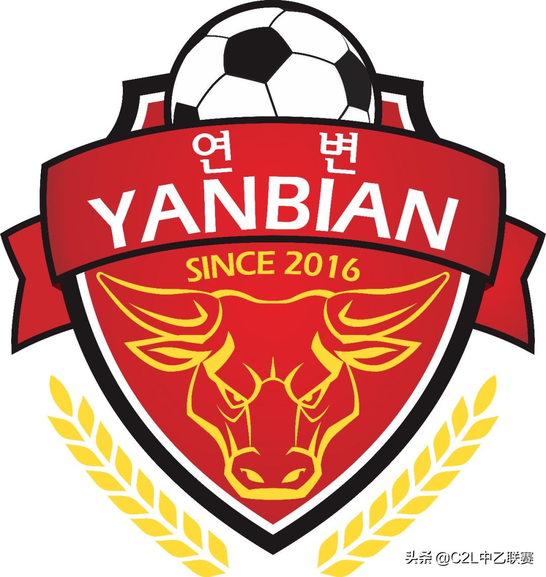 2018年32强足球队队徽,2016中乙队徽