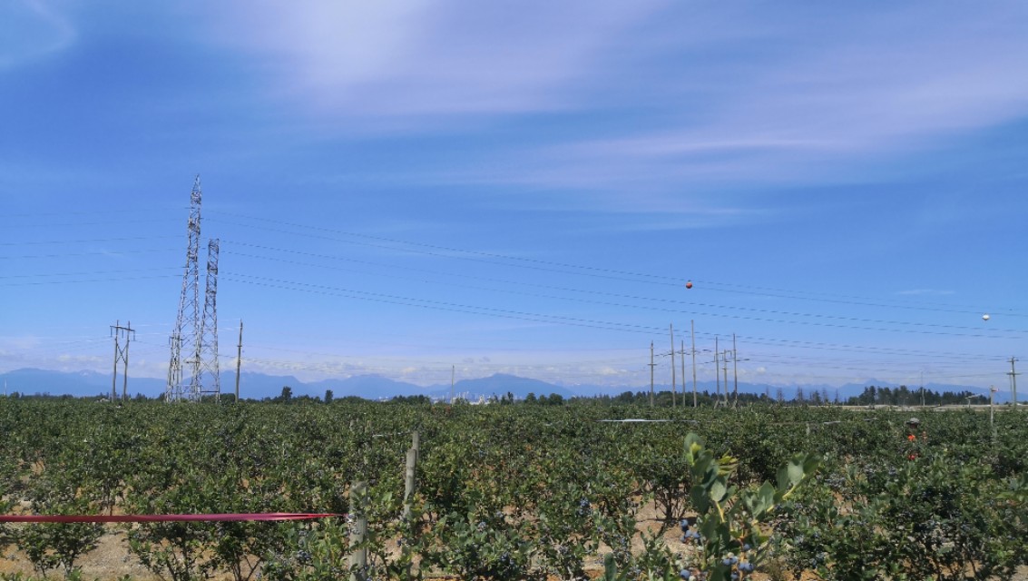 一家三口温哥华一年生活费,一家三口在加拿大的生活费用