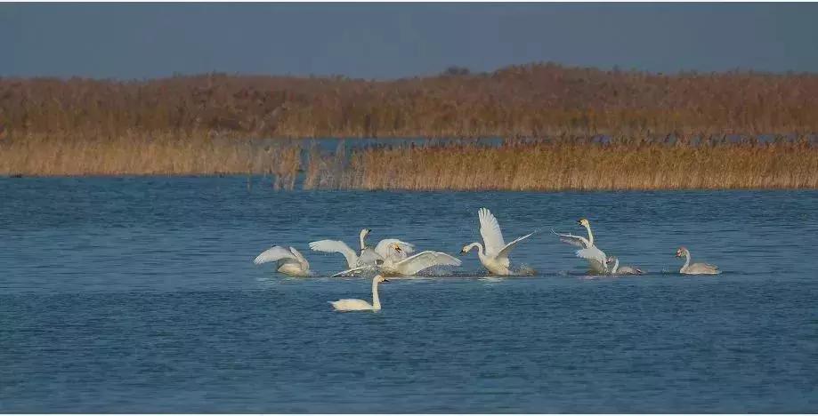 济青高铁青岛北站和红岛站,济青高铁青岛发车时间